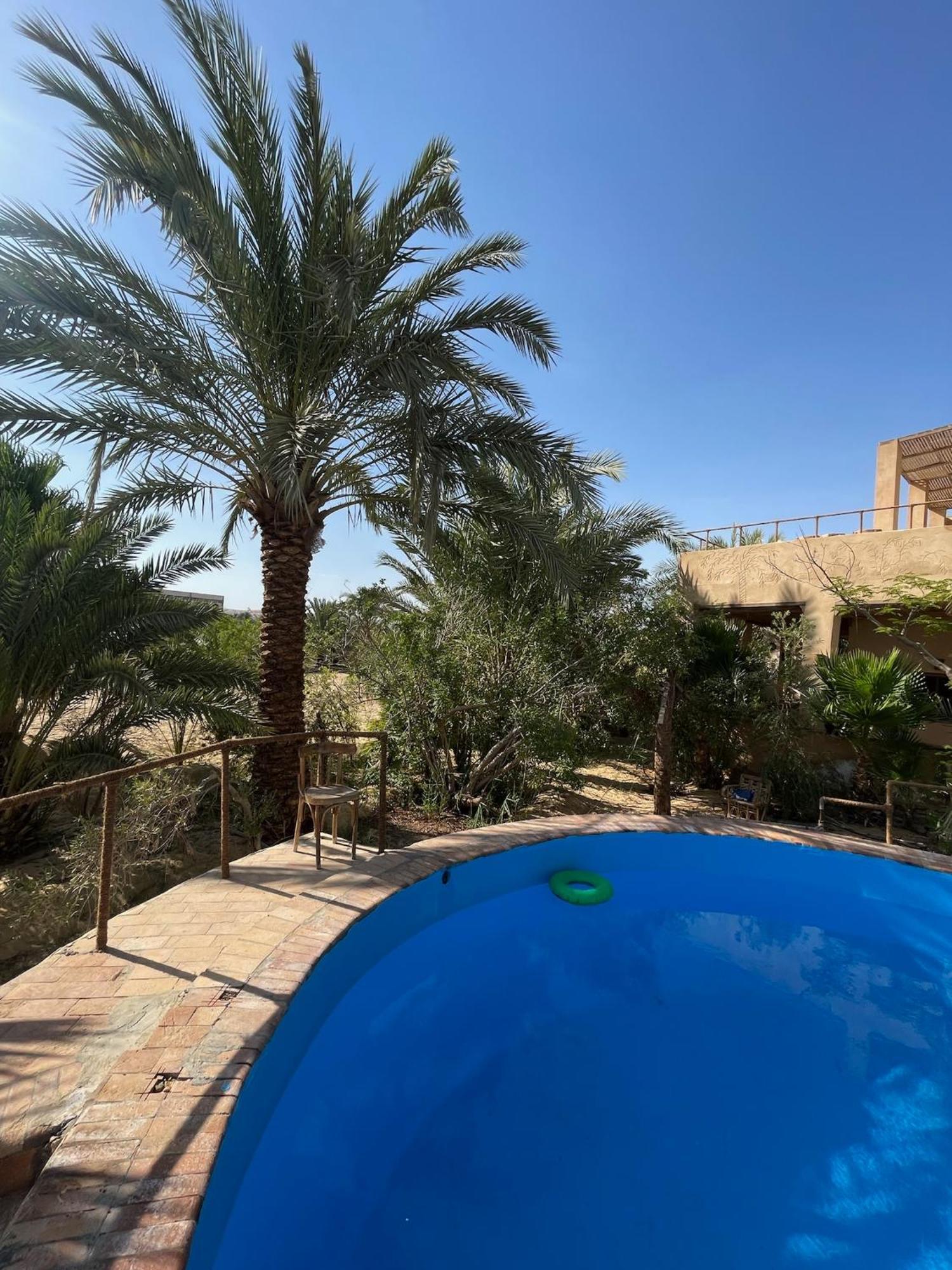 Hotel The Nest Siwa Oasis Exterior foto