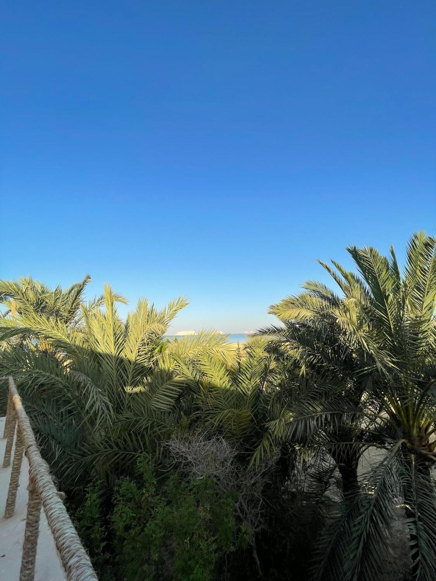 Hotel The Nest Siwa Oasis Exterior foto